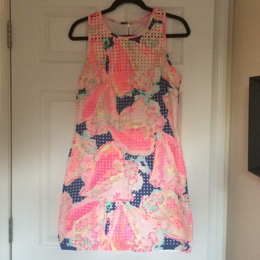 COPY - COPY - Lilly Pulitzer dress